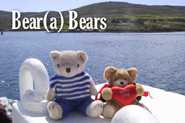 Bear(a) Bears